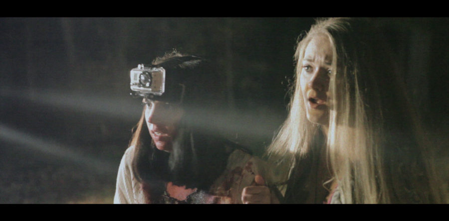 Razvrat in groza v gozdu