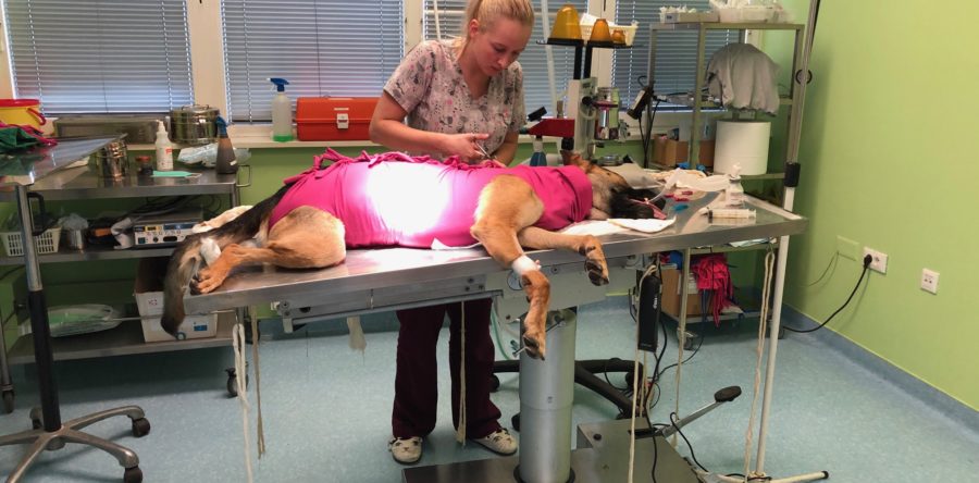 Super reševalci navdušujejo