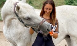 Ingrid tokrat raziskuje Dobrovnik