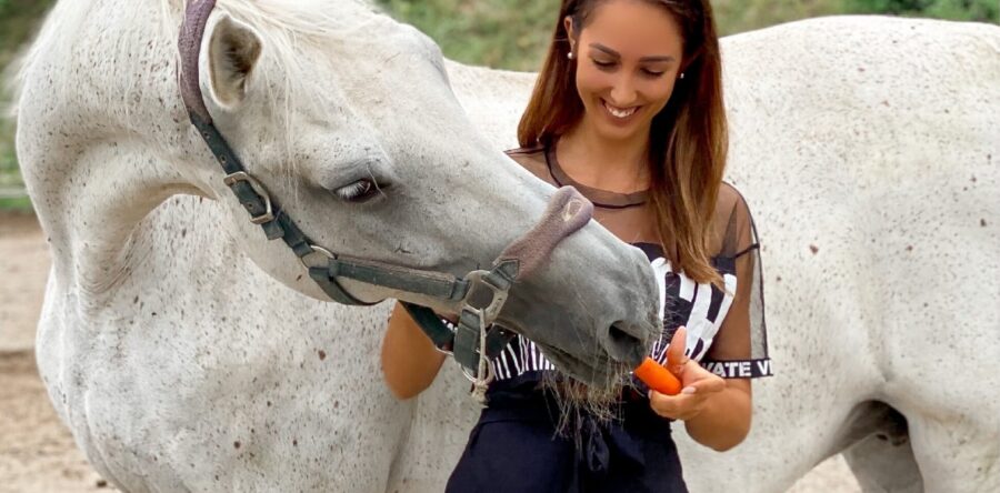 Ingrid tokrat raziskuje Dobrovnik