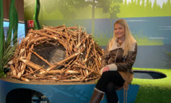 Zlati ključi raziskujejo Rogaško Slatino