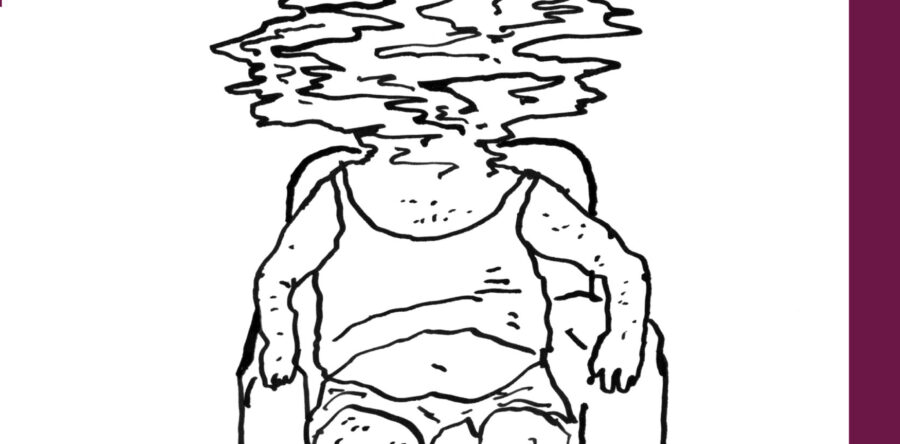 Predvolilne zdrahe tudi v literaturi