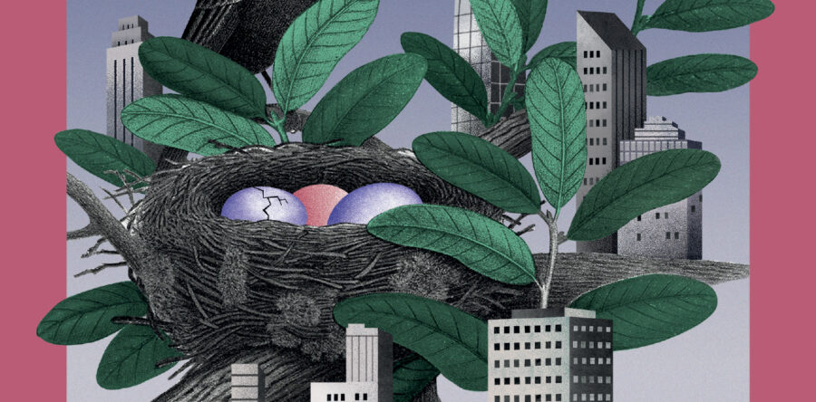 Beremo: Vsa moja poletja